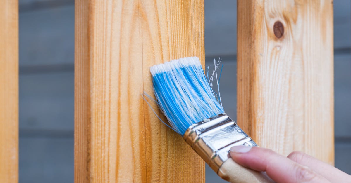 What is the cheapest siding to put on a house?